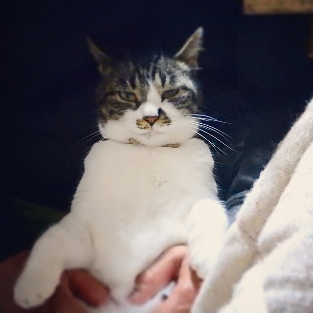 yukiさんの実例写真