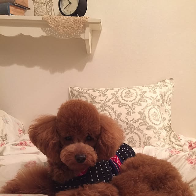 Naomiさんの実例写真