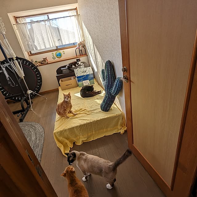 uchizukonyanさんの実例写真