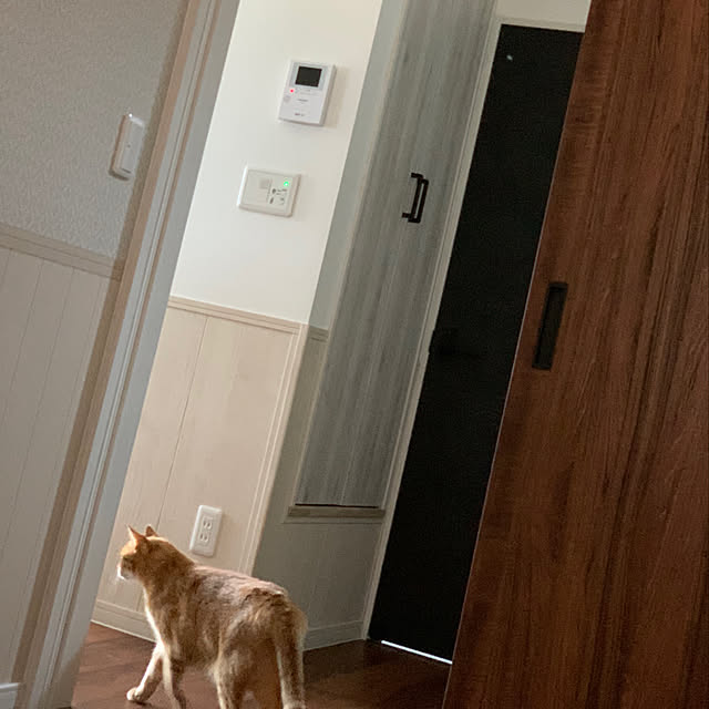 mikeume7さんの実例写真
