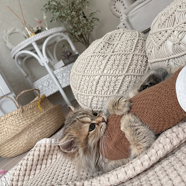 miyu39さんの部屋