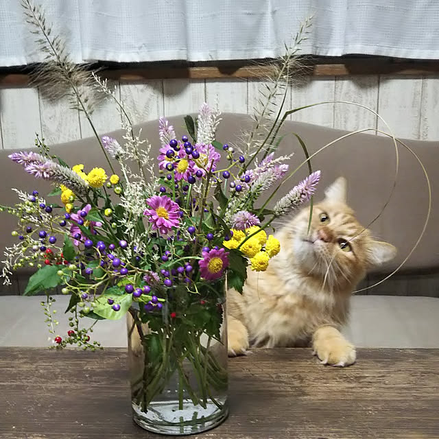 gabさんの実例写真