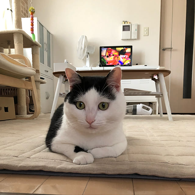 k.Iさんの実例写真
