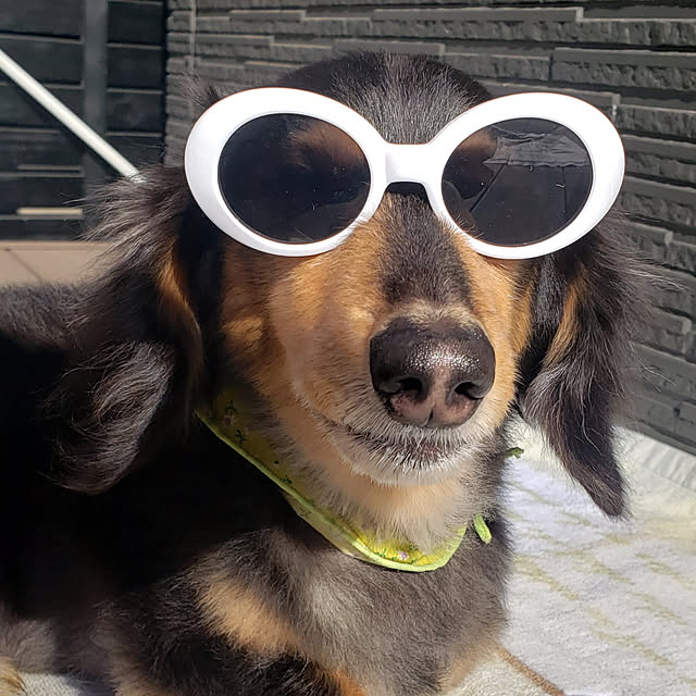 kimikimiさんの実例写真