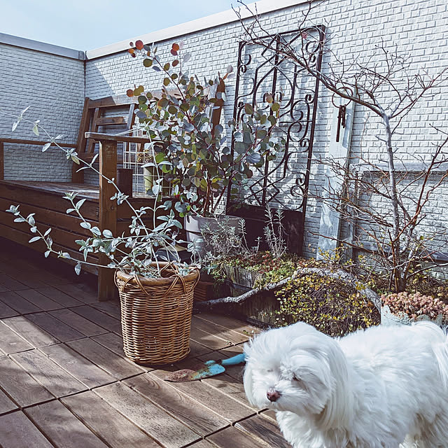 yokkoさんの実例写真