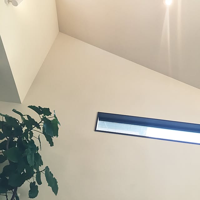 Tomokoさんの実例写真