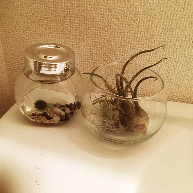 ponchu37さんの実例写真