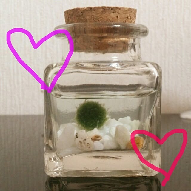 yumiさんの実例写真