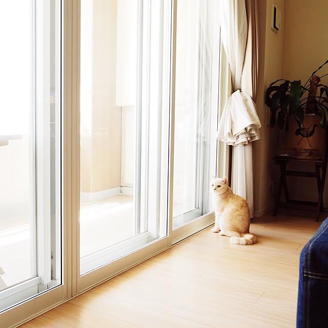 y.k.0123さんの実例写真