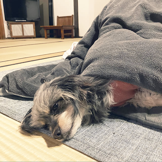 em.skyさんの実例写真