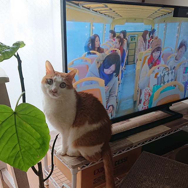 mugi77327732さんの実例写真