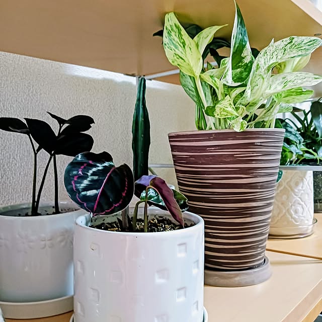 hanachanさんの部屋