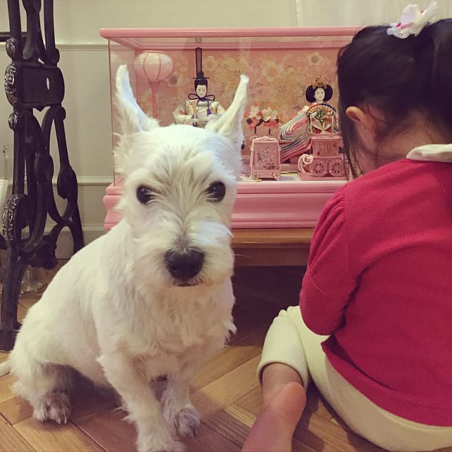 Rubanさんの実例写真