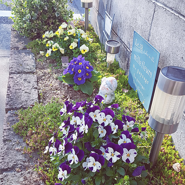 natyenaoさんの実例写真