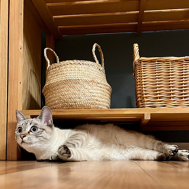 amさんの部屋