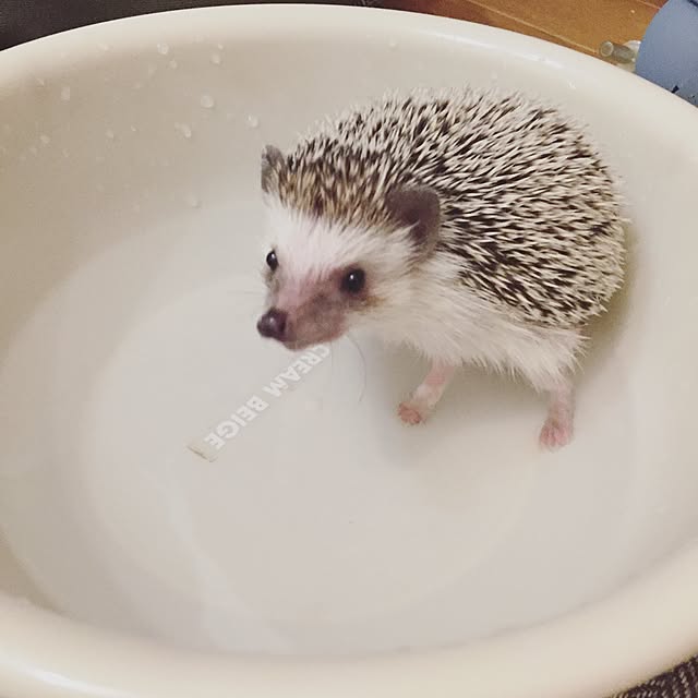 yu_kiさんの実例写真