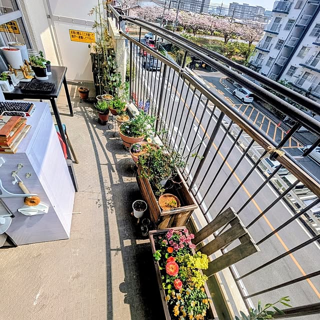 mi-saさんの部屋