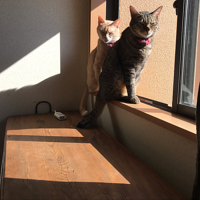 mikan161さんの実例写真