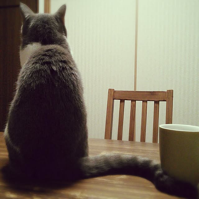 lovepandaさんの実例写真