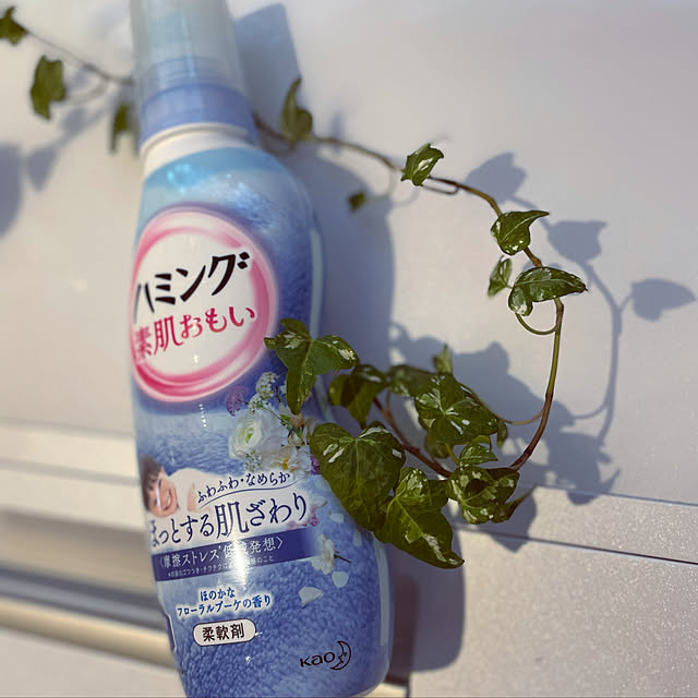 seiさんの実例写真