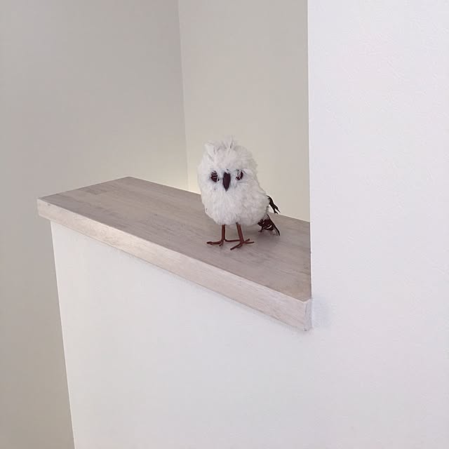 koumeさんの実例写真