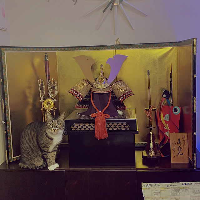 Kaeさんの実例写真