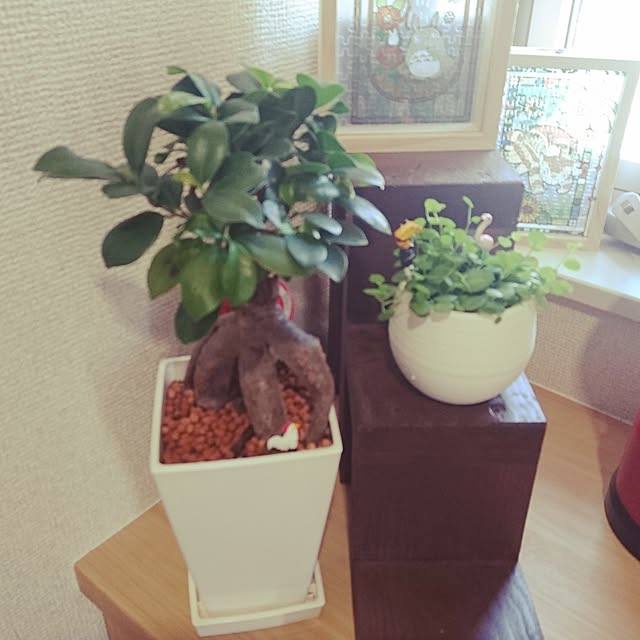 YUKIさんの実例写真