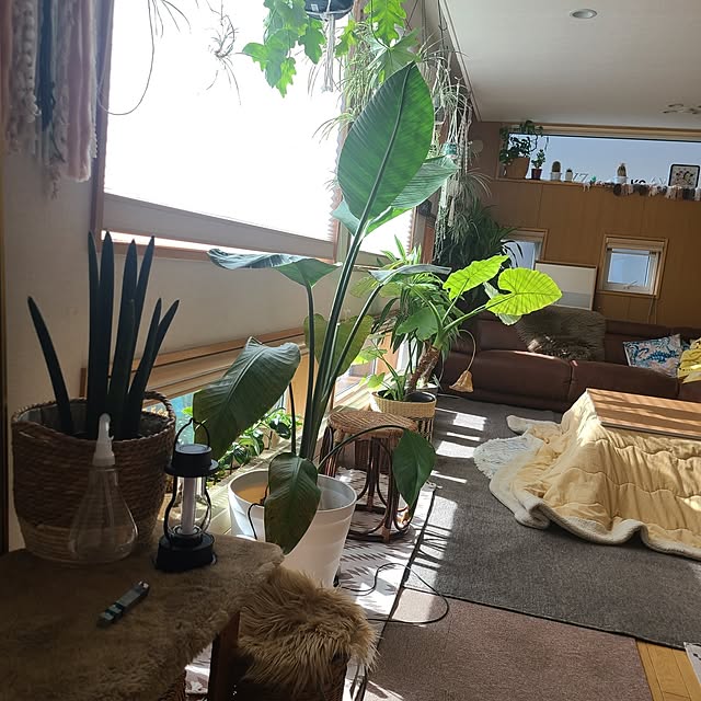 yuzuさんの部屋