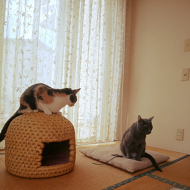 tomo1220さんの実例写真