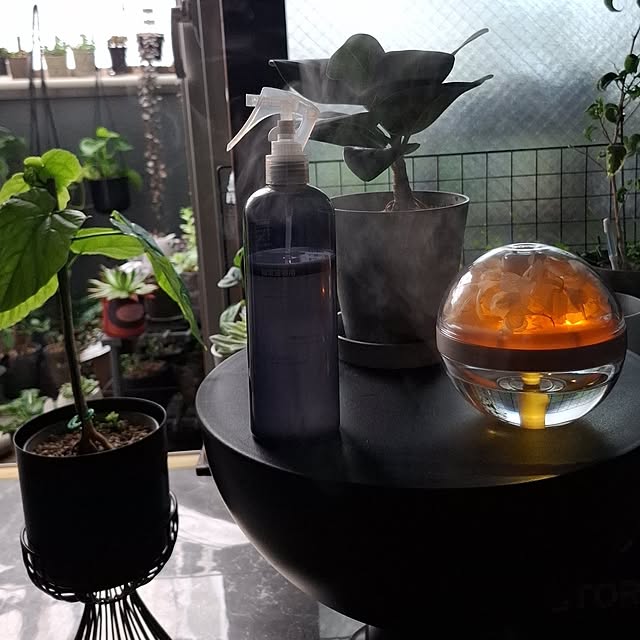 noaさんの実例写真