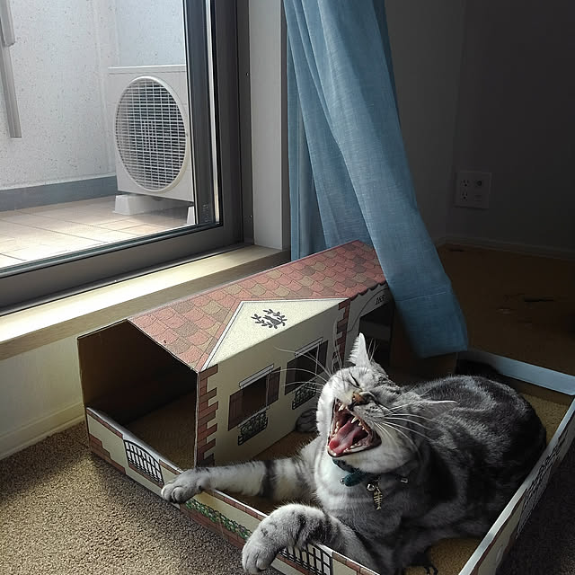 NANACOCOさんの実例写真