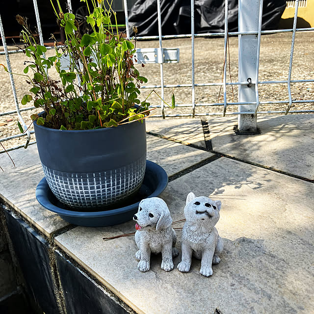 flowerさんの部屋