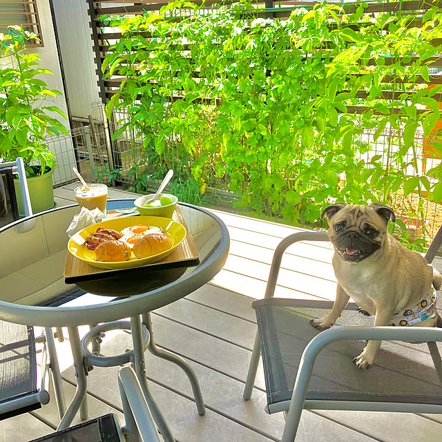 onsen-_-tamagoさんの部屋