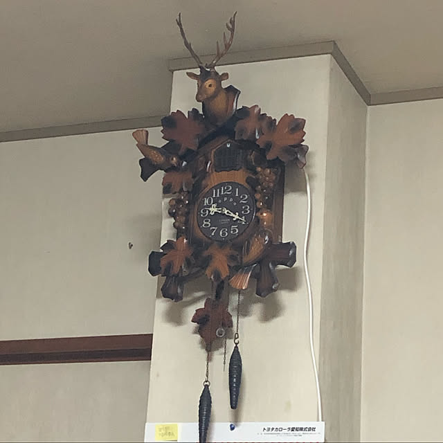 Shokoさんの部屋