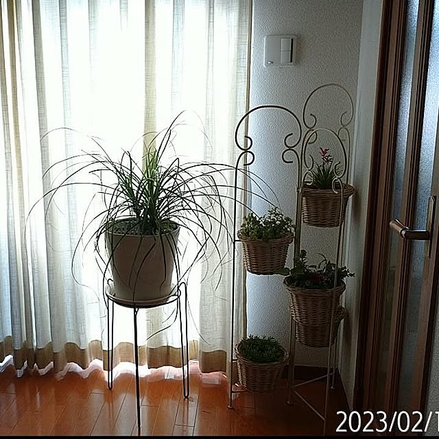 junko8999さんの実例写真