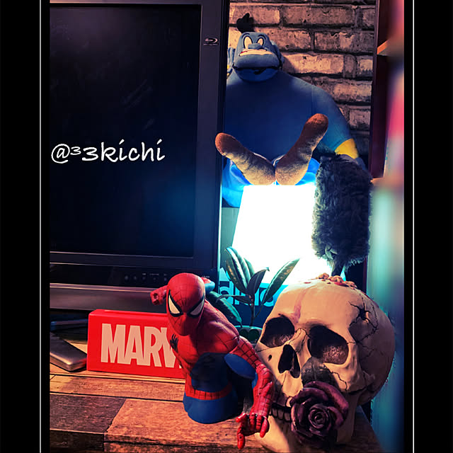 SAKICHIさんの実例写真