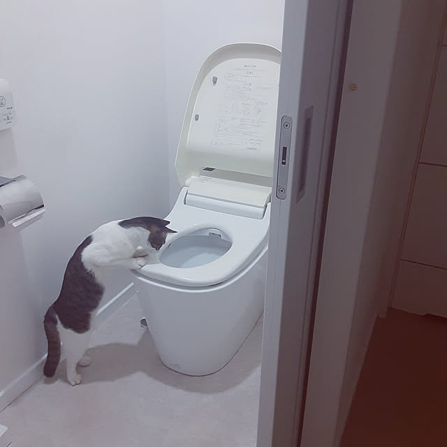 saosanさんの実例写真