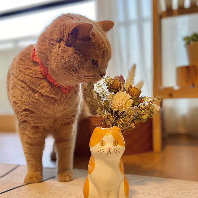 tomoさんの部屋
