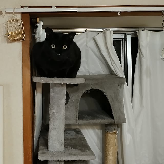 Tさんの実例写真