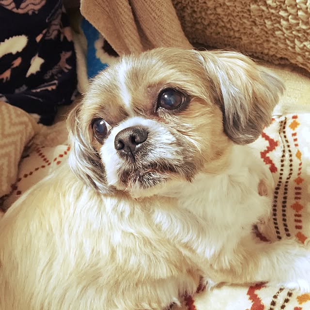 SUMJmamさんの実例写真