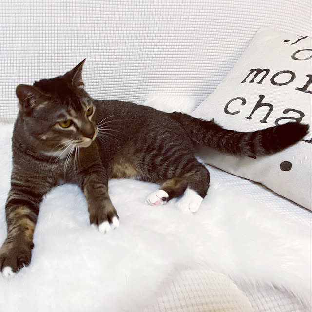 mokaronさんの実例写真