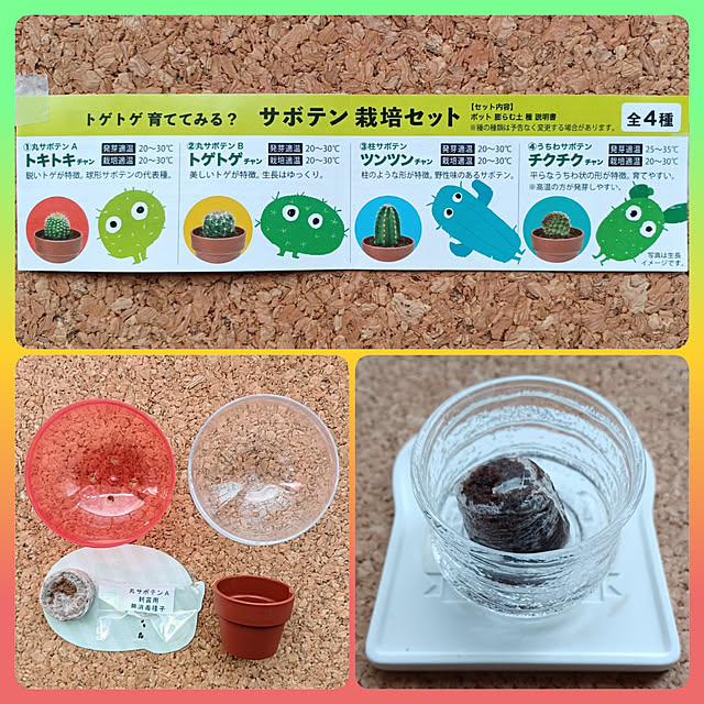 nanaさんの実例写真