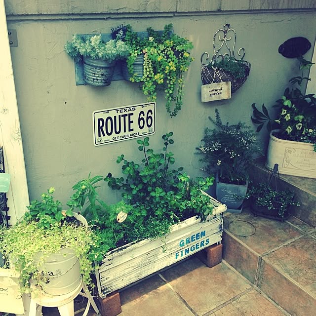 i_am_hisa13さんの実例写真