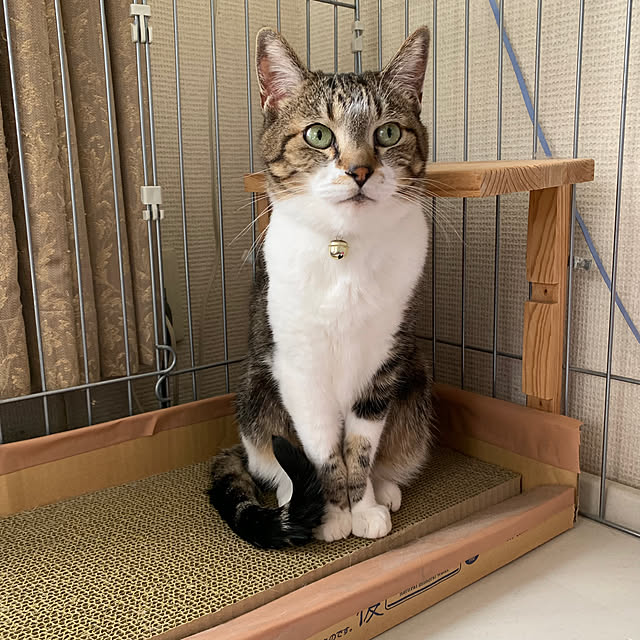 mariさんの実例写真
