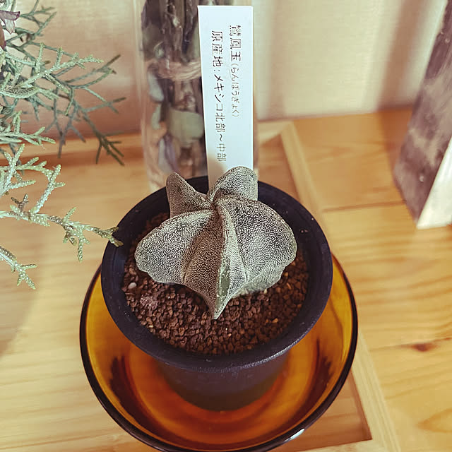 mamanさんの実例写真