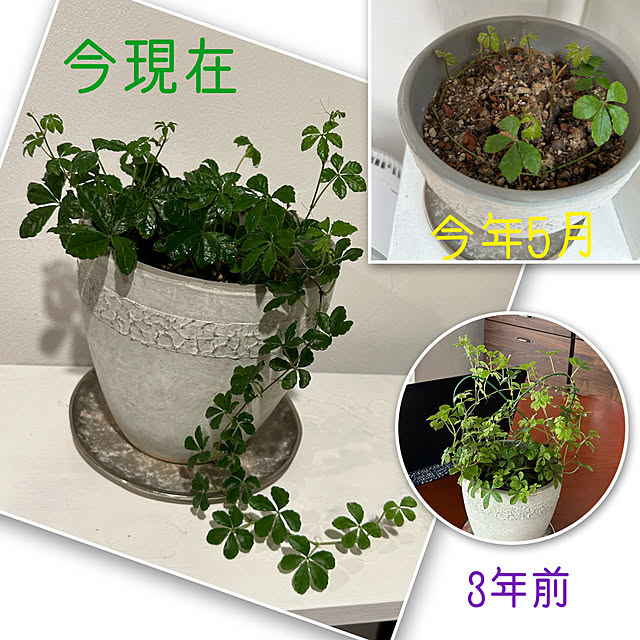 hanahana1444さんの部屋