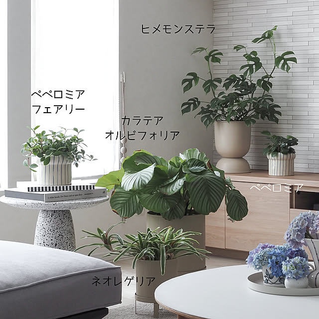 sh.atyouさんの部屋