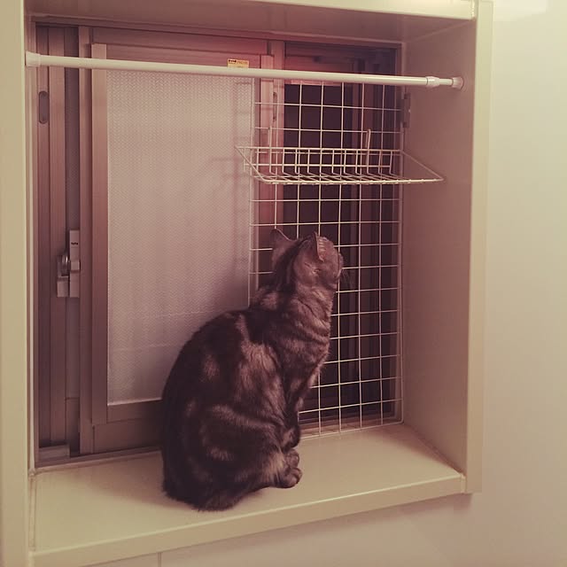 mikomaruさんの実例写真
