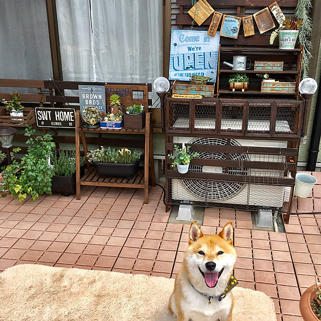 ronmaruさんの実例写真