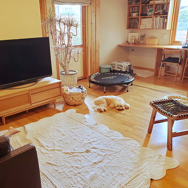 mitaluさんの実例写真